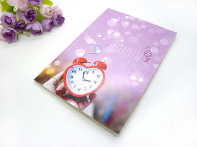 日记本 记事本 创意大笔记本子 32K记事本-300