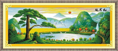 全网最低价 迎客松（精品）A7	