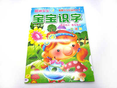 早教认知书启蒙识字卡片翻...