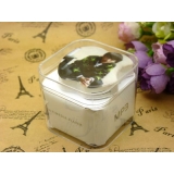 苹果形卡通无屏MP3 明星MP3 迷你可爱超萌