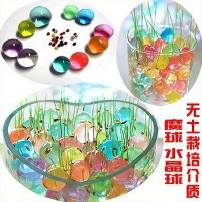 水晶宝宝 水培植物无土养花 七彩泡大海洋宝宝 海绵（大）