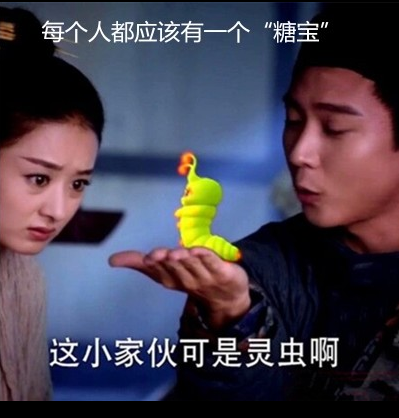 1号22cm会说话糖宝花千骨同款宠物毛绒玩具公仔玩偶娃娃创意音乐发光抱枕