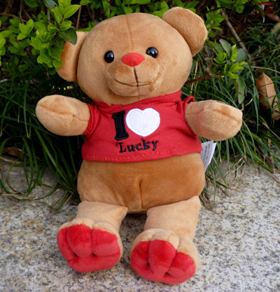 穿衣泰迪熊公仔泰迪熊毛绒玩具熊玩偶小熊