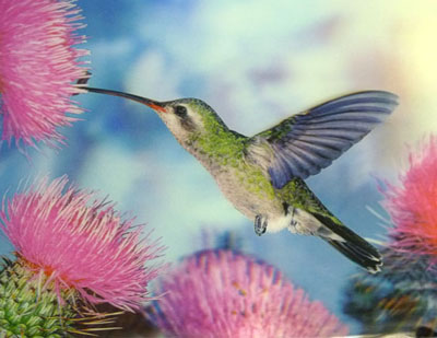 全网最低价24*34cm自粘高清PET立体画3D立体画三维立体画 百种图案立体画