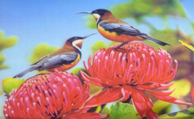 全网最低价20*27cm自粘高清PET立体画3D立体画三维立体画 百种图案立体画