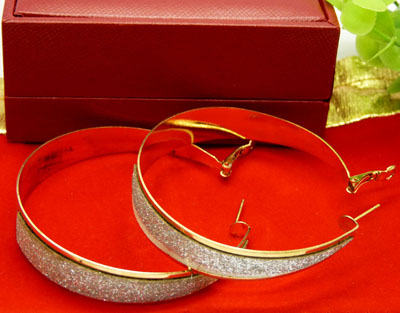 全新外贸饰品 波西米亚民族风耳环 混搭欧美合金镶钻耳饰 厂家直销！！