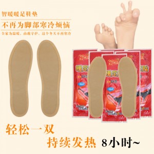 寒冬必备智暖鞋垫038 ...