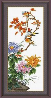 四君子菊（精品）